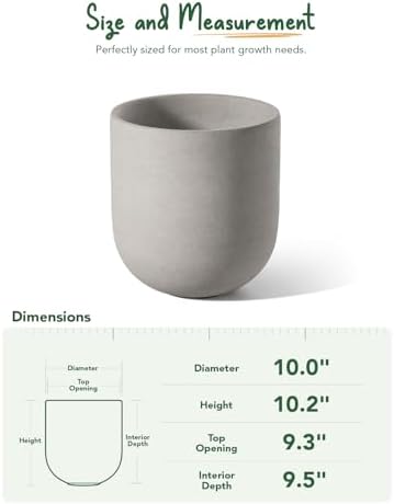 LE TAUCI 10 Inch Plant Pot, Ceramic Pots for Plants with Drainage Hole and Rubber Plug, Plant Pots Indoor for Home Garden Patio Office, Cylinder Flower Planter Pot, Neutral Gray - Image 5