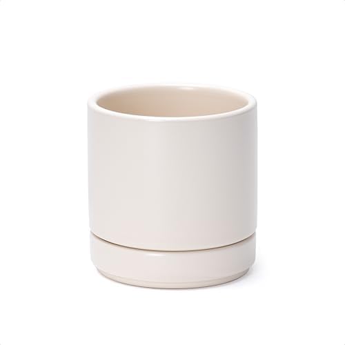 D'vine Dev 4.7 Inch Ceramic Planter Pot, Oatmeal, 94-O-B-8 by DvineDevPlanterPotsandStand