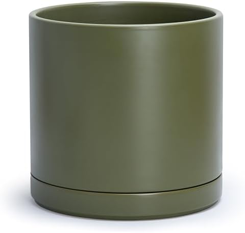 D'vine Dev 12 Inch Ceramic Planter Pot, Olive, 94-O-F-J by DvineDevPlanterPotsandStand