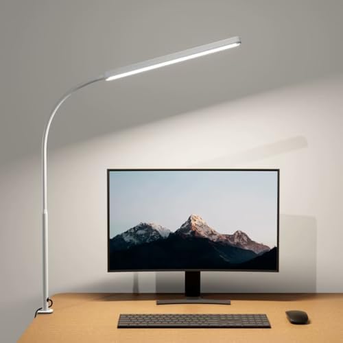 SUPERDANNY Eye-Caring LED Desk Lamp Work Lamp Office Lamp with Side Clamp by SUPERDANNY