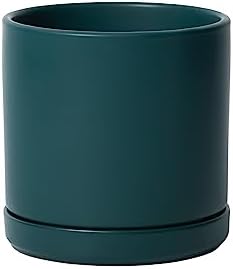 D'vine Dev 6 Inch Ceramic Planter Pot, Teal, 94-O-C-9 by DvineDevPlanterPotsandStand