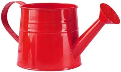 0.26 Gallon Small Watering Can, Rustproof Leak Proof Lightweight Indoor Watering Cans for House Plants with Sprinkler Head and Handle,Decorative Metal Modern Water Can for Plants for Succulents by Unknown