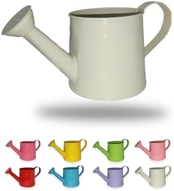 Watering Can for Indoor Plants, White, 1L by Unknown