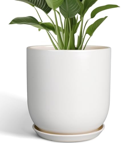 Plant Pot 12 inch - Ceramic Pot for Plants Indoor Outdoor Large Planter Pot with Drainage Hole and Saucer Mid-Century Modern Flower Pot Cylinder White by SUNPOTFOR