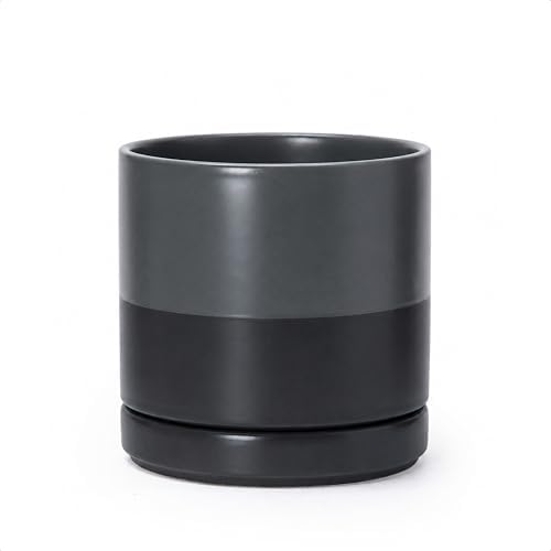 D'vine Dev 6.5 Inch Ceramic Planter Pot, Slate, 94-O-C-5 by DvineDevPlanterPotsandStand