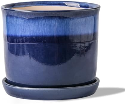 8 Inch Plant Pot: Ceramic Planter with Drainage Hole & Saucer for Indoor Outdoor Plants - Flowerpot with Bonded Tray for Home Office - Blue Reactive Glaze by Chubacoo