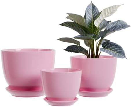 Pink Plant Pots,Ceramic Flower Pots Set of 3 with Drainage Holes & Saucers by Unknown