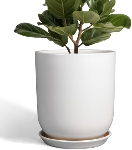 Pots for Plants - 10 Inch Ceramic Plant Pot with Drainage Hole and Saucer Large Planter for Plants Indoor Outdoor Modern Flower Pot for Home Decor White by SUNPOTFOR