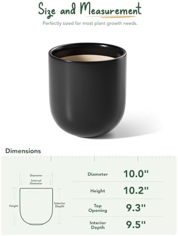 LE TAUCI 10 Inch Plant Pot, Ceramic Pots for Plants, Black - Image 3
