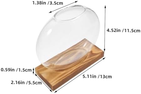 Glass Plant Propagation Station Round Vase with Wooden Base, 2pcs - Image 2