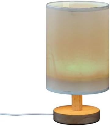 DOMIKING Sky Blue Pattern Bedside Table Lamp for Bedroom Small Lamps for Nightstand Lamp with USB Ports Reading Desk Lamp for Living Room Home Office Kids Room - Image 2