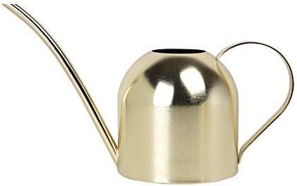Stainless Steel Water Can for Indoor Plants and Garden (Gold 30 oz) by EPalace
