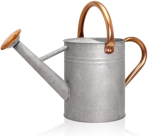 Metal Watering Can with Removable Spout, Galvanized Watering Can, Perfect for Indoor Use and for Outdoor Use (1 Gallaon, Zinc) by Ausluru