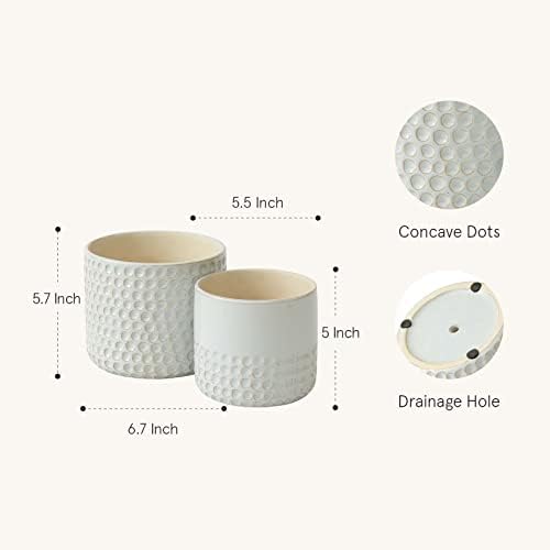 LA Jolie Muse Ceramic Plant Pots, Flower Pots for Indoor Plants, Set of 2 - Image 2