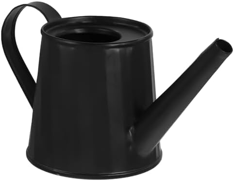 Toddmomy Succulent Watering can for Indoor Plants Small Metal Water can with Comfortable Handle Mini Garden Jug for Desk Table Bonsai 5.90 X 2.91 X 2.75 in by Toddmomy