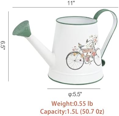 Small Metal Watering Can for Indoor & Outdoor Plants Garden Decor - Image 2