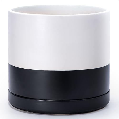 D'vine Dev 14 Inch Ceramic Planter Pot, Black White Two Tone, 94-O-G-L by DvineDevPlanterPotsandStand