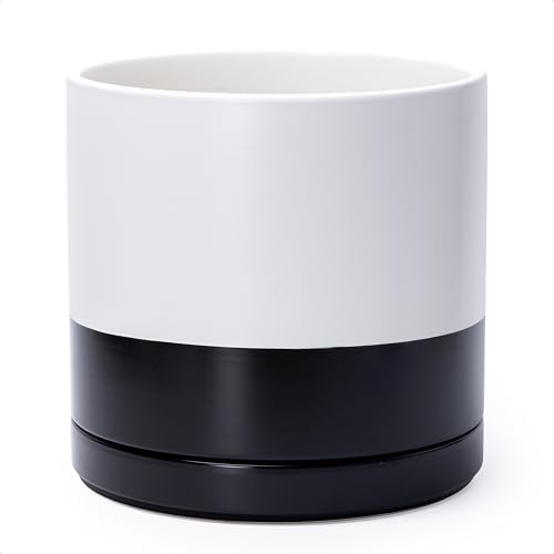 D'vine Dev 12 Inch Ceramic Planter Pot, Black White Two Tone, 94-O-F-L by DvineDevPlanterPotsandStand