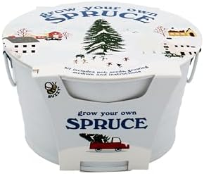 Buzzy Seeds Grow Your Own Christmas Tree Kit, Metal Basin Planter, Spruce by BUZZY