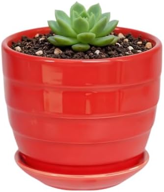 Cute 4.13 Inch Ceramic Home Garden Decoration Succulent Cactus Flower Pots Container -Plant Not Included，Red by SJBAG
