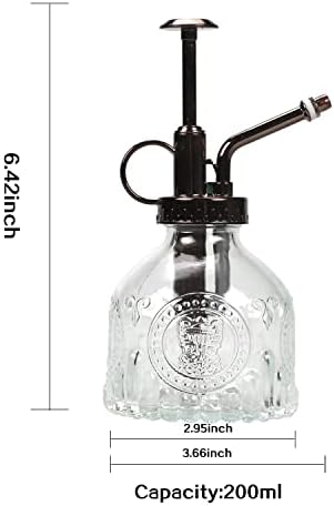 TOMEX Glass Plant Mister Spray Bottle 200ML Vintage Style Plant Spritzer Small Sprayer Mister Succulent Watering Bottle with Top Pump Watering Can for Indoor Outdoor House Plants,Flowers (Clear) - Image 2
