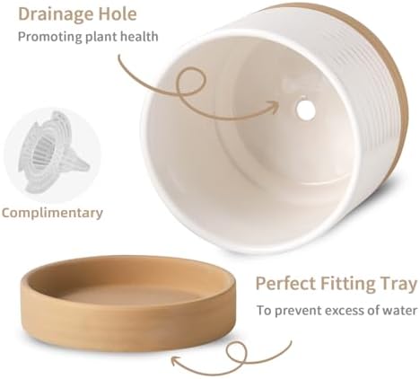 HASENSE 6 Inch Indoor Plant Pot, Ceramic Flower Planter with Drainage Hole and Saucer, Modern Pots for Plant with Two-Tone Design, Perfect for Wedding Birthday Gift, White-Brown - Image 4