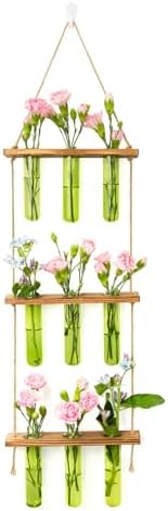 XXXFLOWER Wall Hanging Propagation Station with Wooden Stand Green by XXXFLOWER