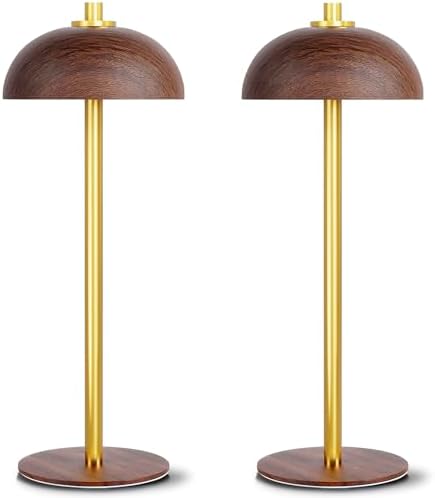 2 Pack Cordless Table Lamp Rechargeable, 5000mAh Battery Table Light by JONEMO