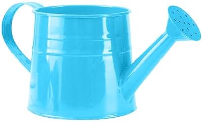 0.26 Gallon Plant Watering Can, Decorative Modern Lightweight Water Can for Plants with Sprinkler Head and Handle,Metal Small Leak Proof Indoor Watering Cans for House Plants Bonsai Gardening by Unknown