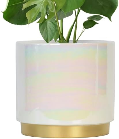 Gepege White Indoor Plant Pots for Plants, Large Ceramic Planter with Drainage Hole, 9.6-inch Succulent Orchid Flower Pot - Rainbow Pearl Glaze by Gepege