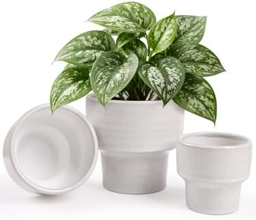 INGOFIN Ceramic Planter Pot Set of 3, 4/5/6 Inch Indoor Plant Decorative Cachepot for Pothos & Succulents, No Drainage Hole, Modern Tabletop Desk Display Pot for Home Decor, Pockmarks White by INGOFIN