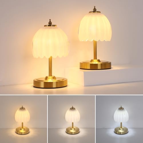 Shenmoyl Set of 2 Tulip Table Lamp with 5200mAh Battery & Touch Control, Cordless Small Table Lamp with 3 Colors, Rechargeable Battery Operated Table Lamps for Nightstand, Bedroom (White Tulip) by Shenmoyl