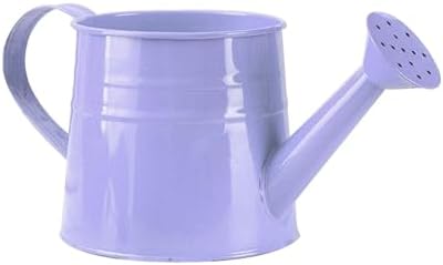 Watering Can Outdoor, 0.25 Gallon Metal Small Capacity Watering Can Indoor Plants with Sprinkler Head,Decorative Lightweight Durable Watering Cans for Garden Lawn Bonsai Greenhouse (Purple) by Unknown