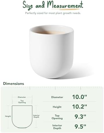 LE TAUCI 10 Inch Plant Pot, Ceramic Pots for Plants with Drainage Hole and Rubber Plug, Plant Pots Indoor for Olive Tree, Cylinder Planter Pot for Home Patio Office, White - Image 6