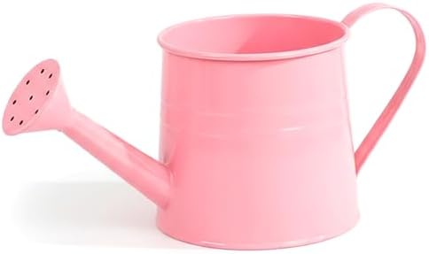 Indoor Watering Can Small Watering Can, Iron Metal with Mesh Spout Vintage Style House Plant Pot Decorative & Functional for Flowers and Plants by Unknown