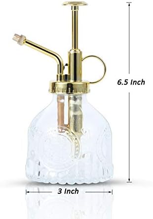 Glass Plant Mister Spray Bottle, Vintage Succulent Water Sprayer with Golden Top Pump, Small Sprayer Mister for Indoor Outdoor House Plants - Clear - Image 2