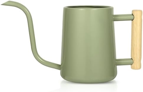 Watering Can Indoor Plants, 35 oz/1000 ml Metal Stainless Steel Watering Can Pot with Long Spout for Indoor House Plants Bonsai Outdoor Garden Flower Decorative (Sage Green) by Unknown
