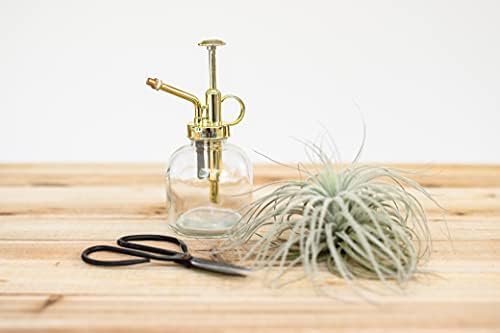 Glass Plant Watering Mister – 8 Ounces Gold Accent Plant Spray Bottle – Single Handed Watering Can for Indoor Plants - Image 3