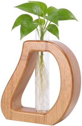 Glass Test Tube Plant Propagation Terrarium Station by Chonsun