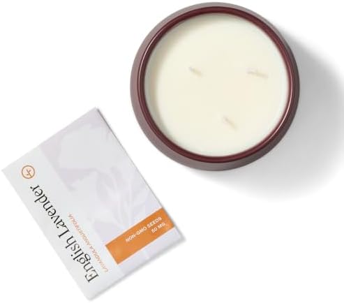 Modern Sprout Soy Candle Planter - Grows Lavender - Image 2