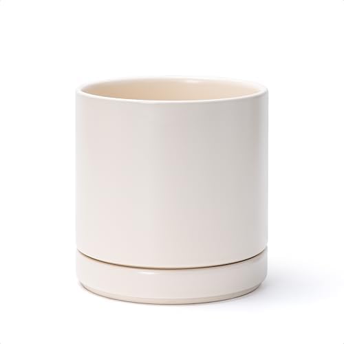 D'vine Dev 6.5 Inch Ceramic Planter Pot, Oatmeal, 94-O-C-8 by DvineDevPlanterPotsandStand
