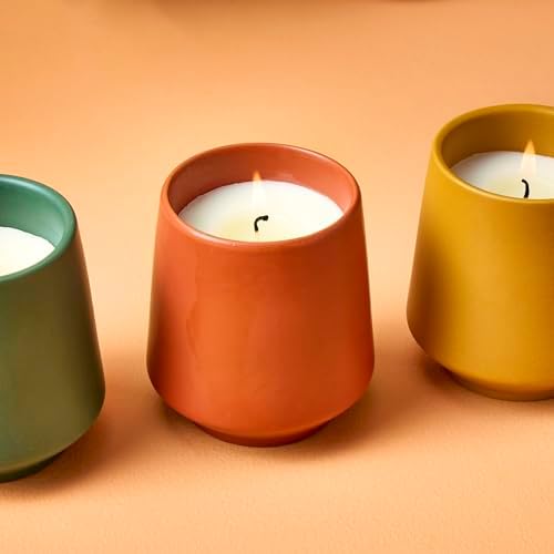 Modern Sprout - 2 in 1 Scented Candles w/Seeds that Grow into Plants -3 pk - Image 5