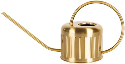 34oz/1L Stainless Steel Watering Can, Rust-Proof Indoor/Outdoor Watering Can for House Plants, Long Spout Water Can for Succulent Bonsai Garden Flowers (Gold Color) by BLstyle
