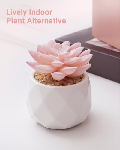 VIVERIE Mini Succulents Plants Artificial in Pots-Rose Pink, Christmas Small Fake Succulents Plants for Home Decor Indoor for Women, White Ceramic Faux Succulents, Set of 1, Gifts for Mom - Image 4