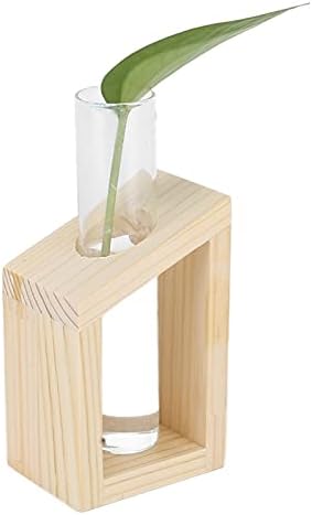 Eujgoov Hydroponic Vase Single Tube Glass with Pine Wood Stand - Image 5