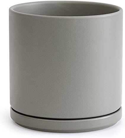 D'vine Dev 10 Inch Ceramic Planter Pot, Grey, 94-O-E-3 by DvineDevPlanterPotsandStand