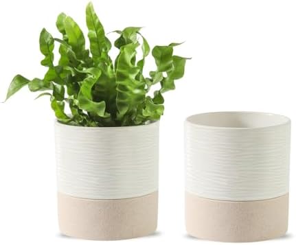 Nihow Ceramic Self Watering Plant Pot for Indoor Plants, 4.5 Inch,Set of 2 by Nihow