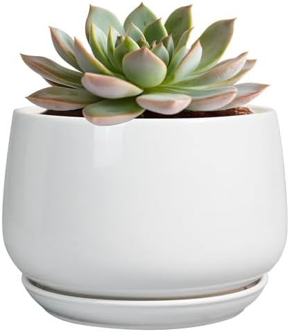 G EPGardening Ceramic Pots for Plants - 6 Inch Planter for Indoor Plants, Flower Pots with Drainage and Ceramic Tray, Modern Office Decor, Gifts for Plant Lovers, White by GEPGardening