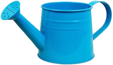 Small Watering Can, 1L Metal Flower Garden Watering Can, Gardening Tool Accessories for Outdoor Indoor Plants Lawn (Blue) - Image 7