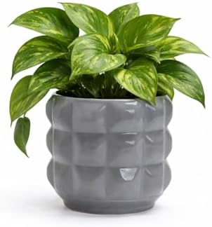 Ceramic Planter Pot with Drainage Hole, 4.5 Inch Dia, Indoor and Outdoor, Home Patio Garden, Plants Flower Succulent, 3D Patterned Round (Gray) by Unknown